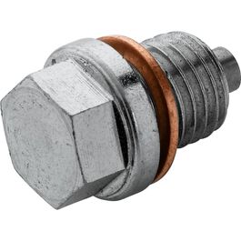 Filters & Hoses Accessories & Spare Parts Hi-Q Tools magnetic oil drain screw M12x1,5, SW13, 12mm Black