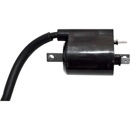 Motorcycle Wires & Connectors Paaschburg & Wunderlich ignition coil  12V, 4Ohm for Yamaha XV 535 Virago Neutral
