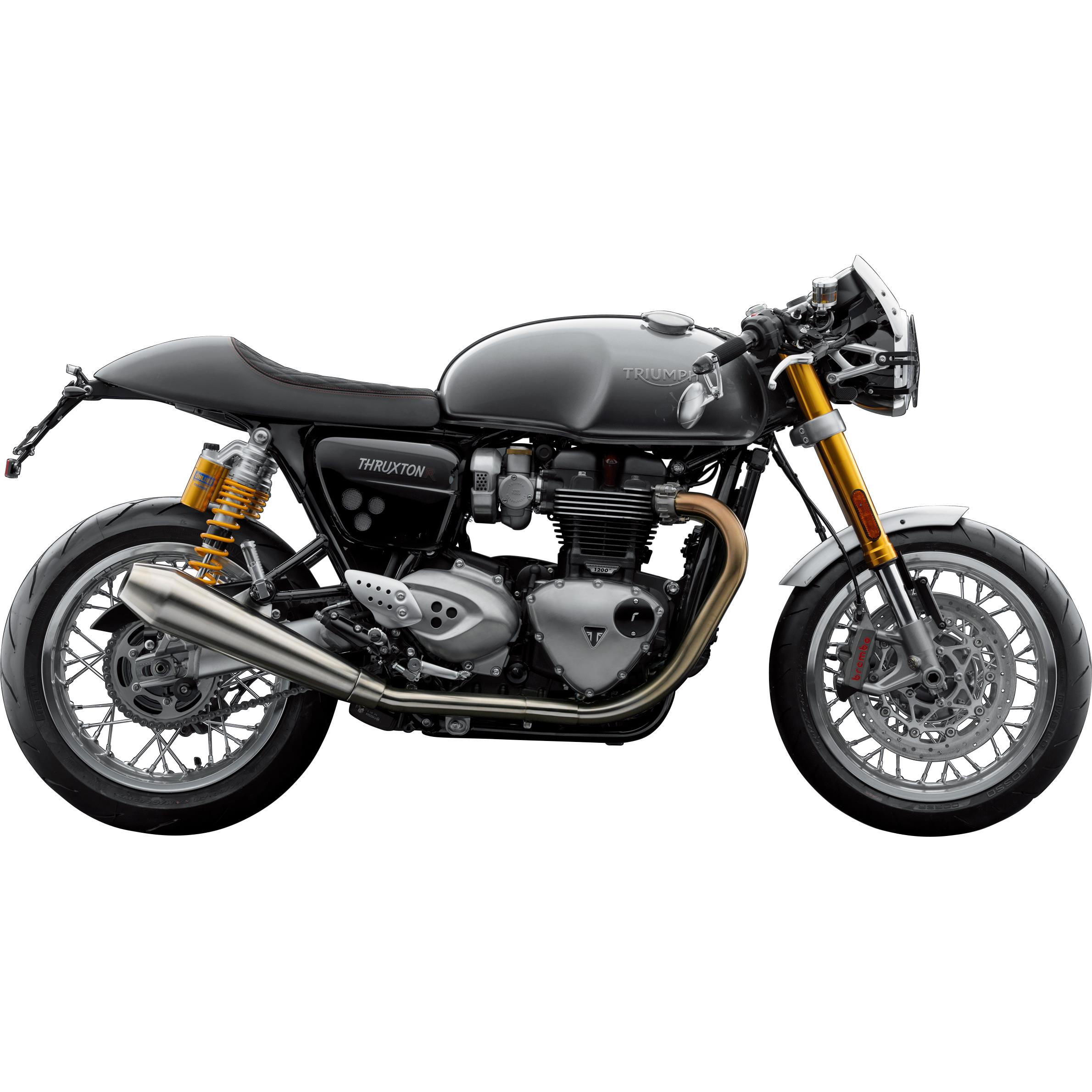 Rizoma shop thruxton r